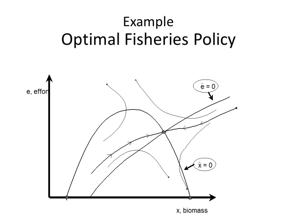 Example Optimal Fisheries Policy